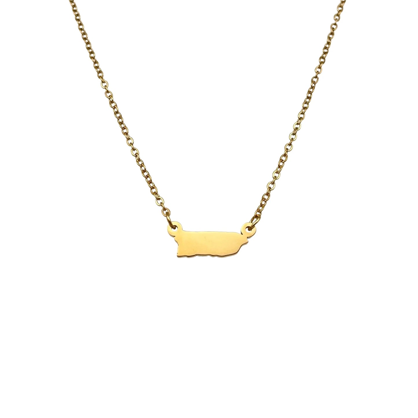 SAMPLE | GOLD MICRO MAPA NECKLACE