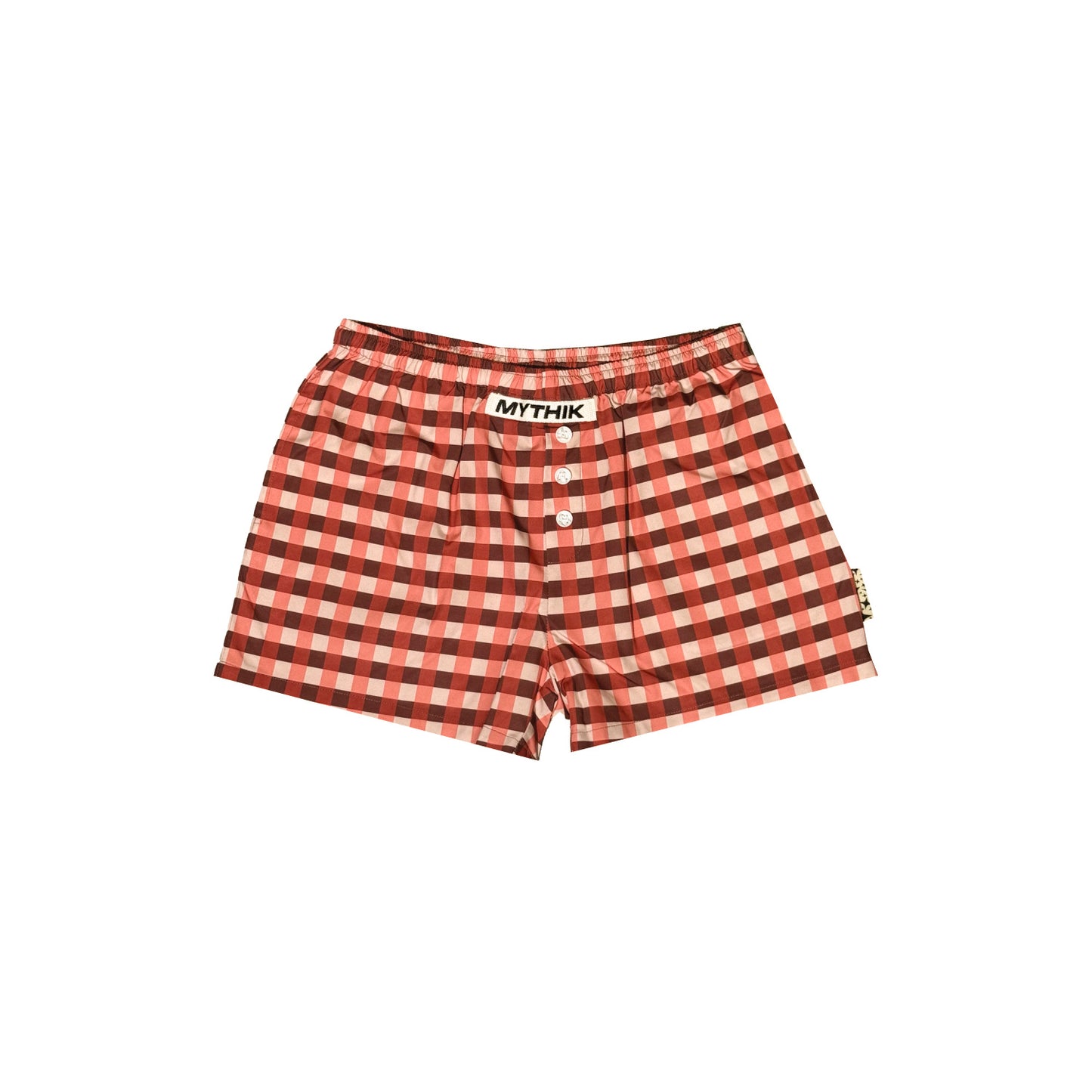 MYTHIK | PLAID SWIM SHORTS