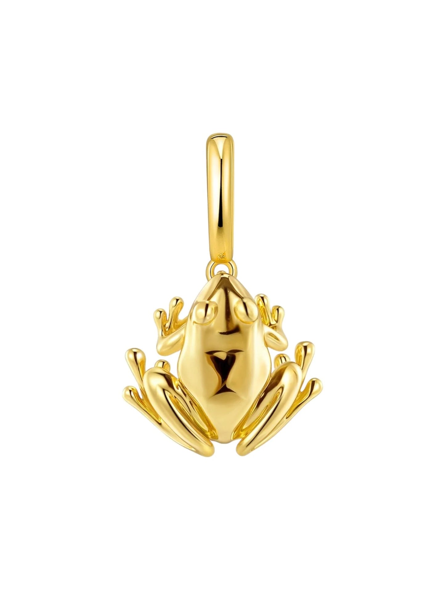 ELEDE | Coqui Charm