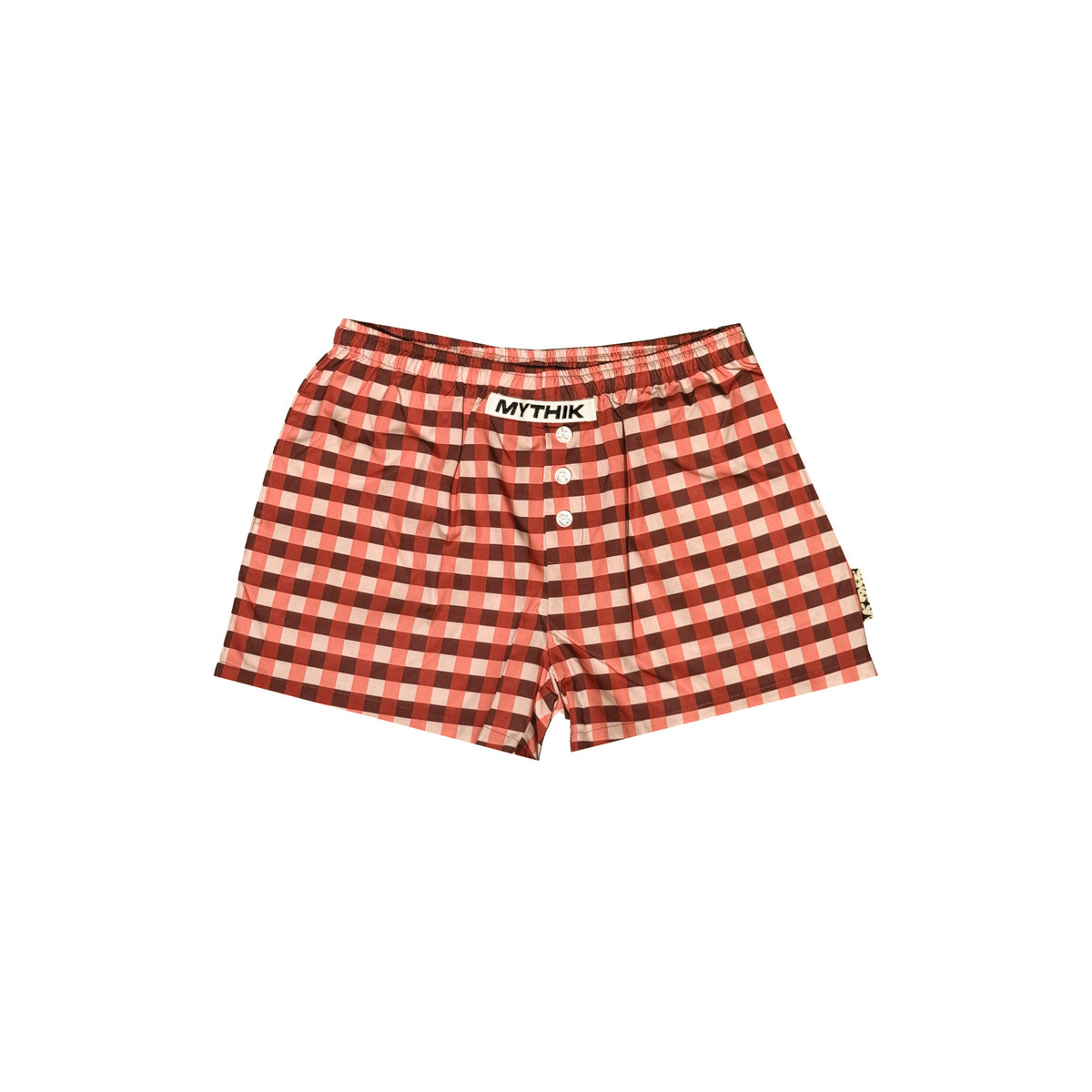 MYTHIK | PLAID SWIM SHORTS