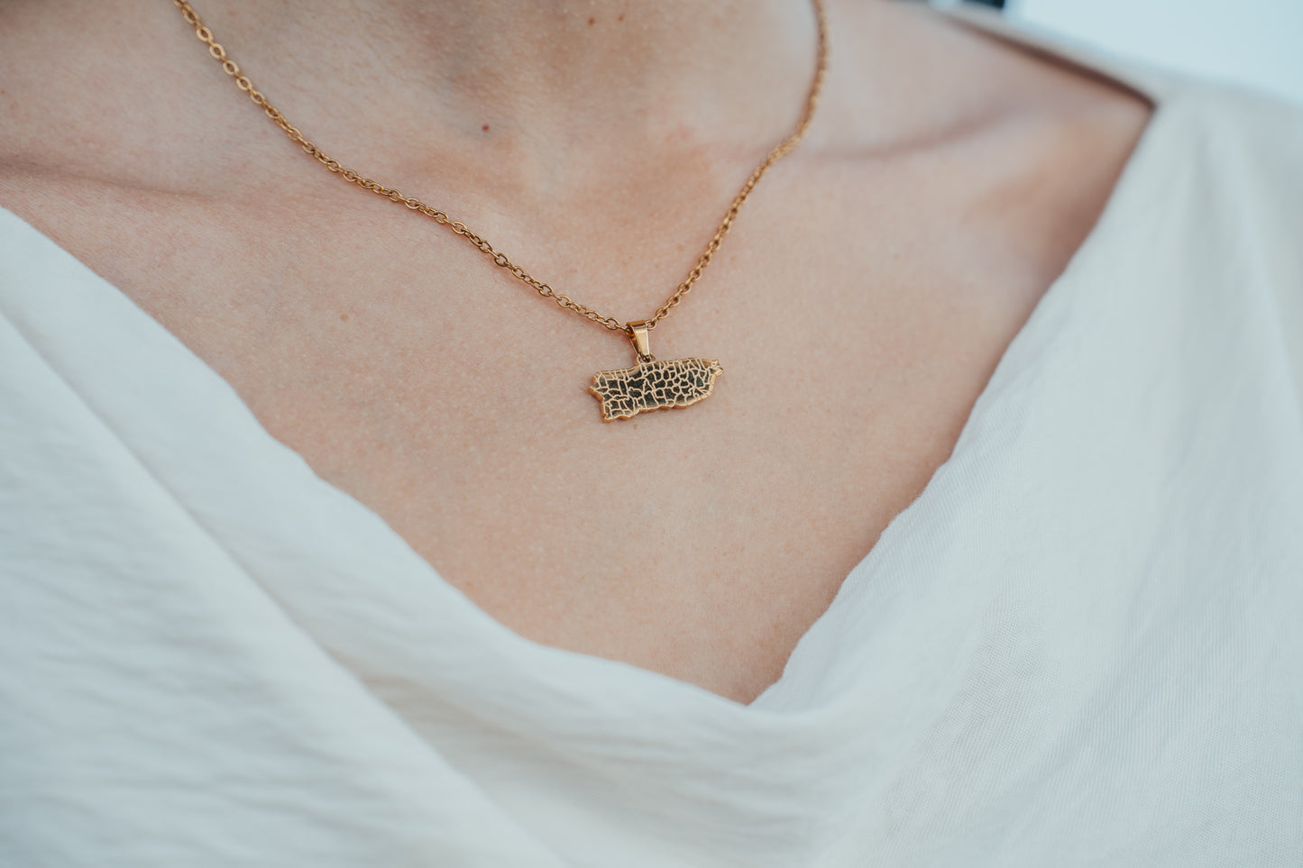 SAMPLE | GOLD MAPA CON PUEBLOS NECKLACE