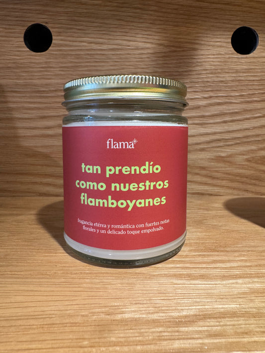 FLAMA | Flamboyan Vela