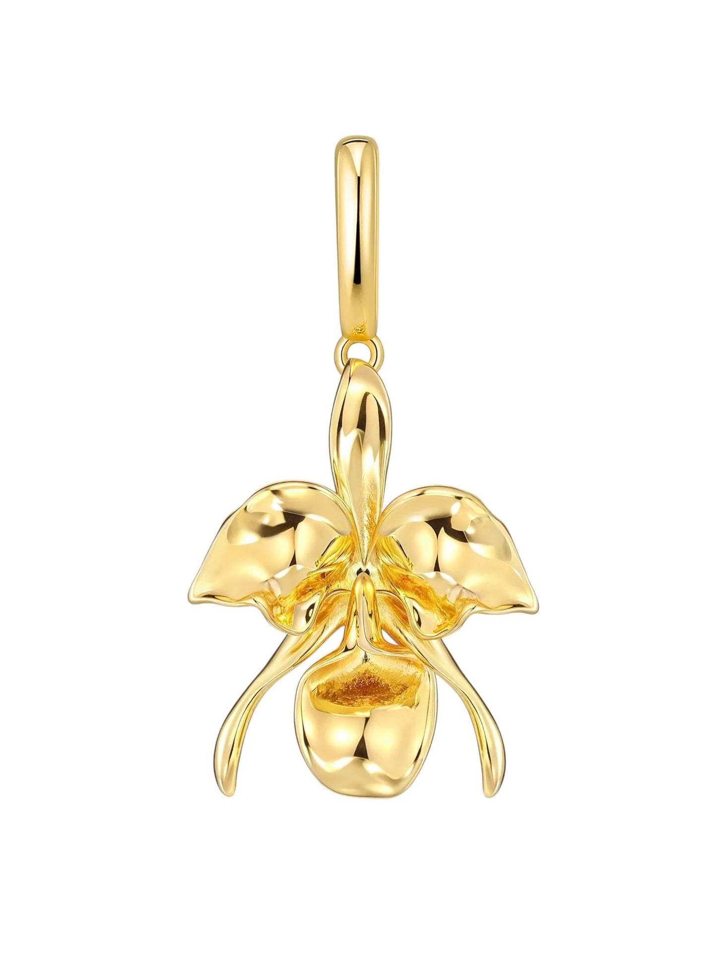 ELEDE | Orquídea Cataleya Charm