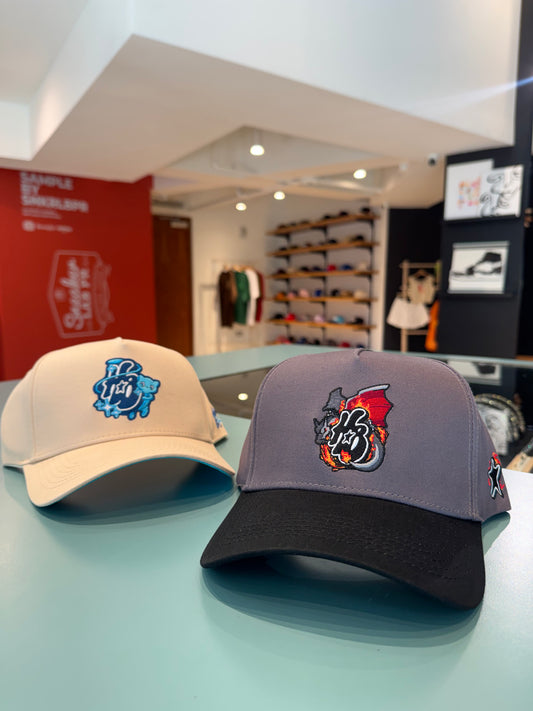 LG | Charizard SB