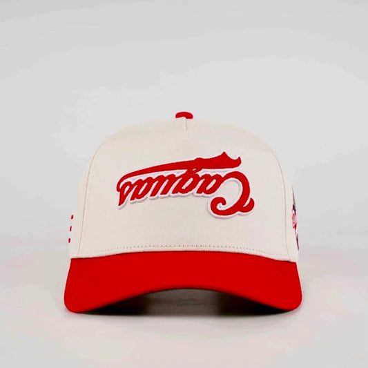 DT | UPSIDE-DOWN CAGUAS HAT